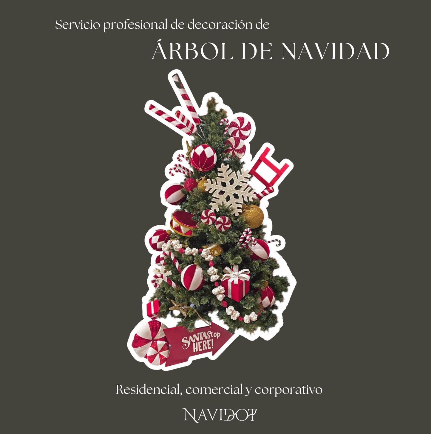 DISEÑO Y MONTAJE NAVIDEÑO