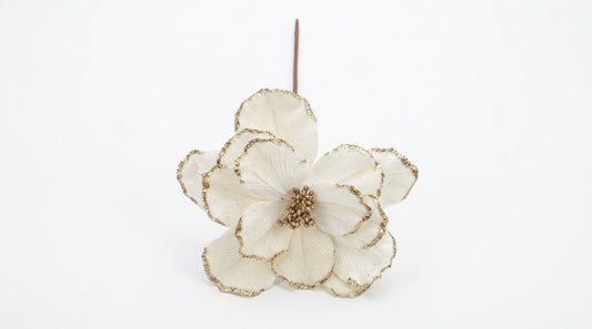MAGNOLIA NAVIDEÑA
